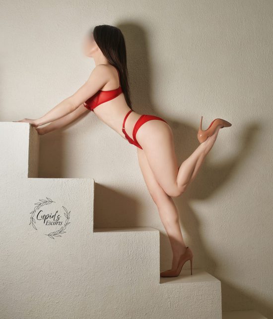 Toronto escort companion upscale classy high class sexy hot beautiful gorgeous Maxine Interests Duo Couple-friendly Non-smoking Age Mature Figure Busty Athletic Slender Petite Breasts Natural Hair Brunette Ethnicity European Tattoos Many Small Arrival New Photos New 
