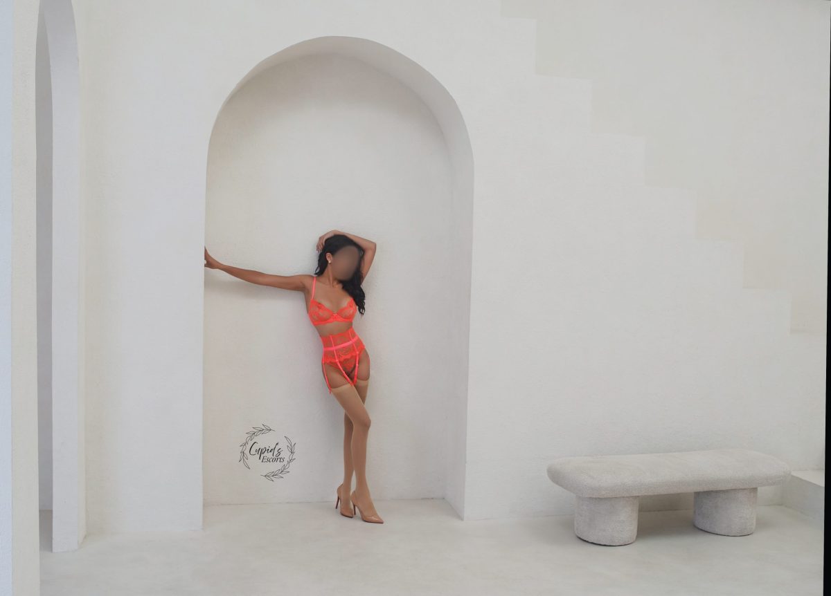 Toronto escorts companion upscale Aria Interests Duo Couple-friendly Disability-friendly Non-smoking Age Mature Figure Busty Slender Tall Breasts Enhanced Hair Brunette Ethnicity Latina Tattoos Small Arrival New New Photos 