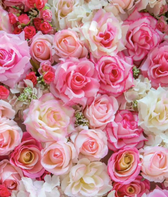 Toronto escort Tia Non-smoking Mature Athletic Busty Slender Curvy Tall Enhanced Raven-Haired Brunette Asian European None New 