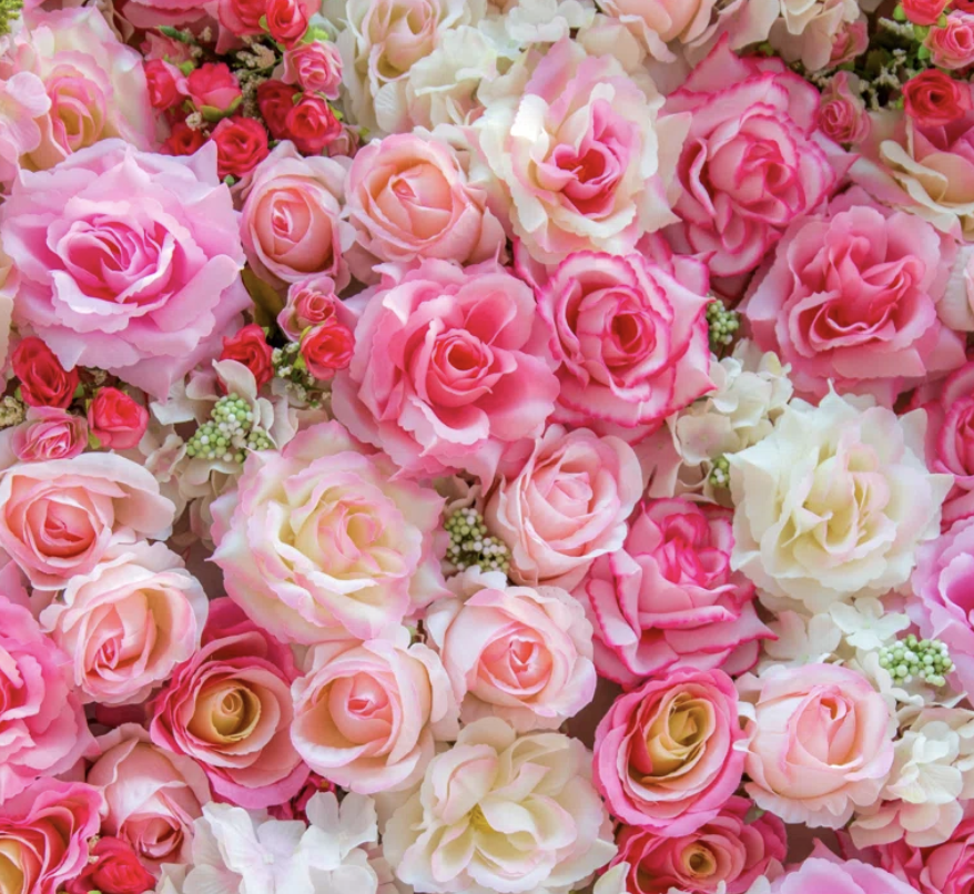 Toronto escorts companion upscale Lauren Duo Disability-friendly Non-smoking Mature Athletic Busty Slender Petite Tall Enhanced Raven-Haired Brunette Asian European Small New 